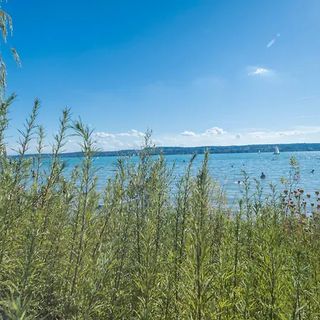 Haus Schnitzler Apartment