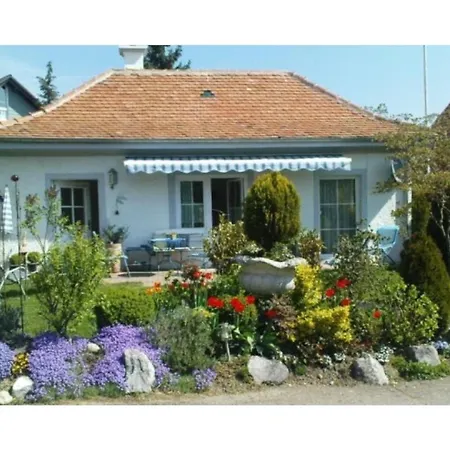 Haus Schnitzler
